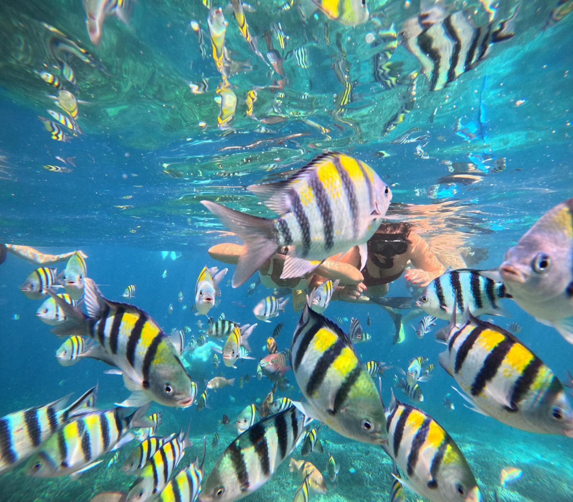 Unzipp Bungalows Gili Air Eksteriør billede