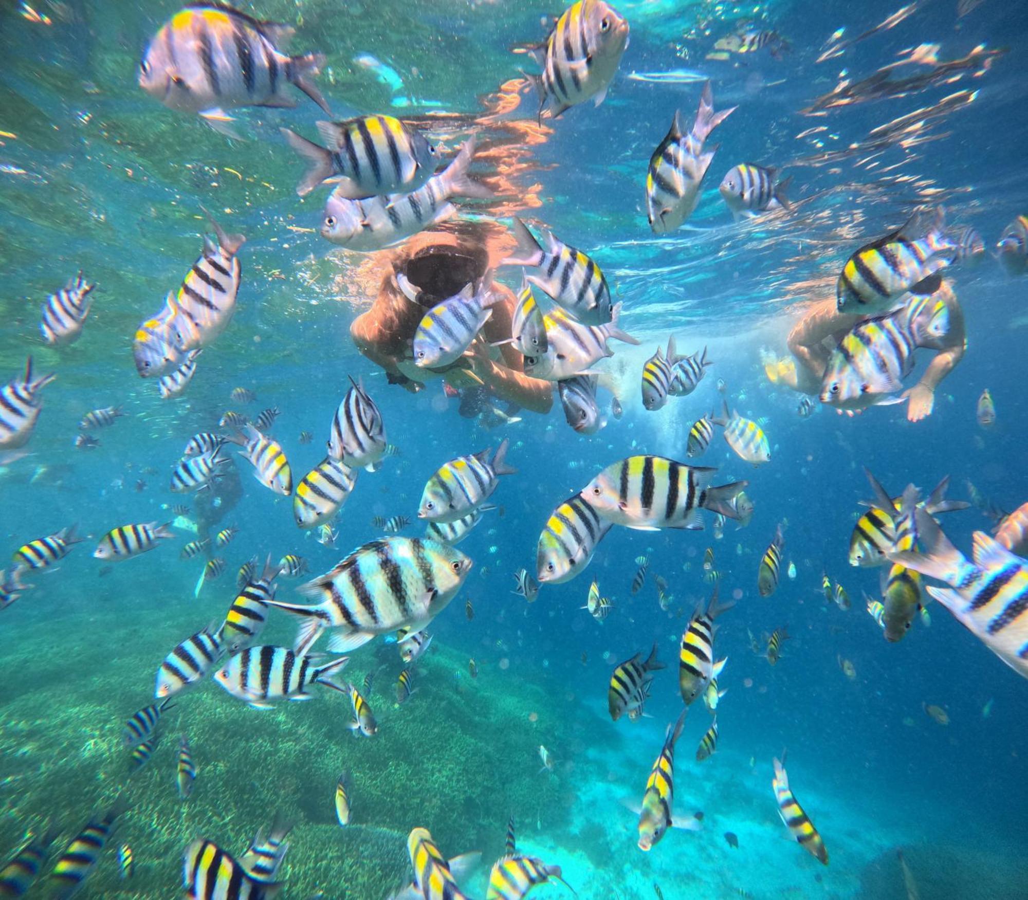 Unzipp Bungalows Gili Air Eksteriør billede